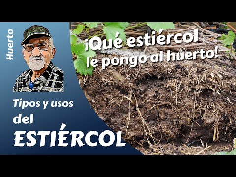 Plantas que rechazan el estiércol: conoce cuáles son