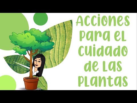 Consejos prácticos para educar a los niños sobre las plantas